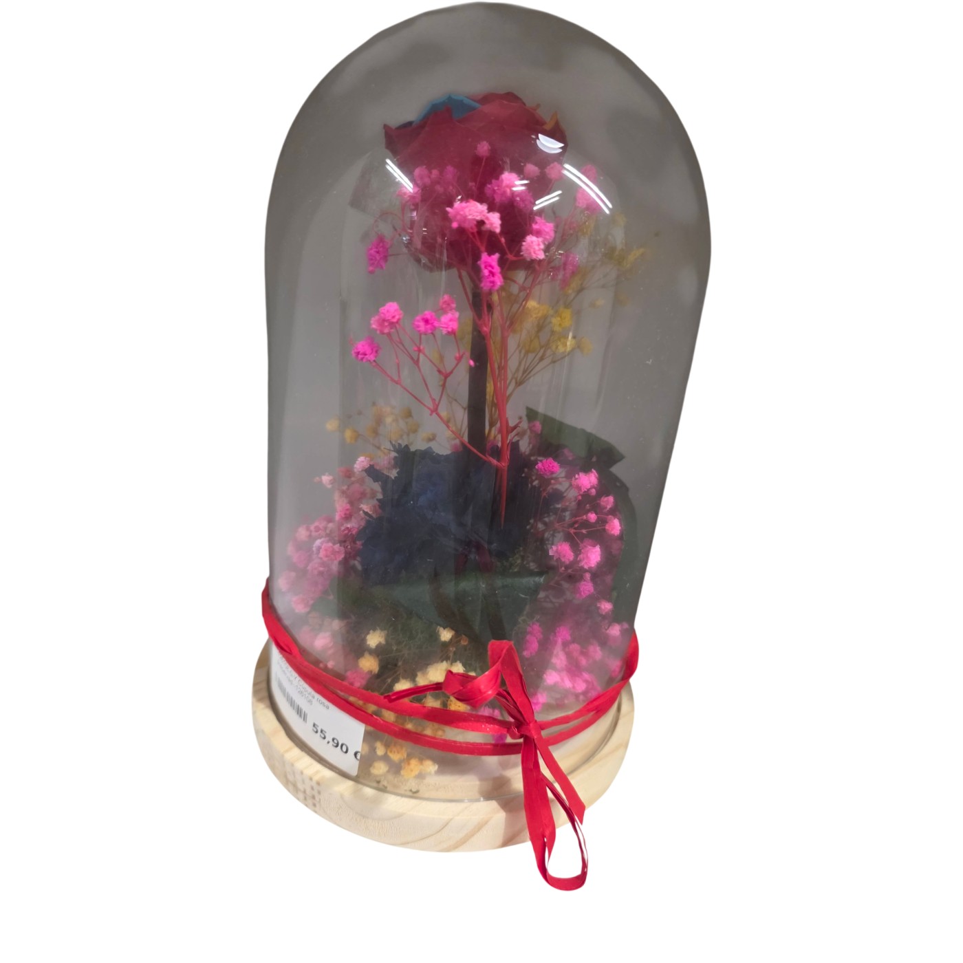 Rosa Eterna en Cúpula
